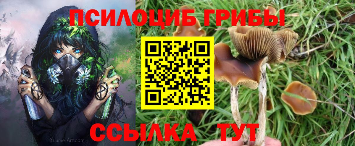 Псилоцибиновые грибы мицелий Ликино-Дулёво
